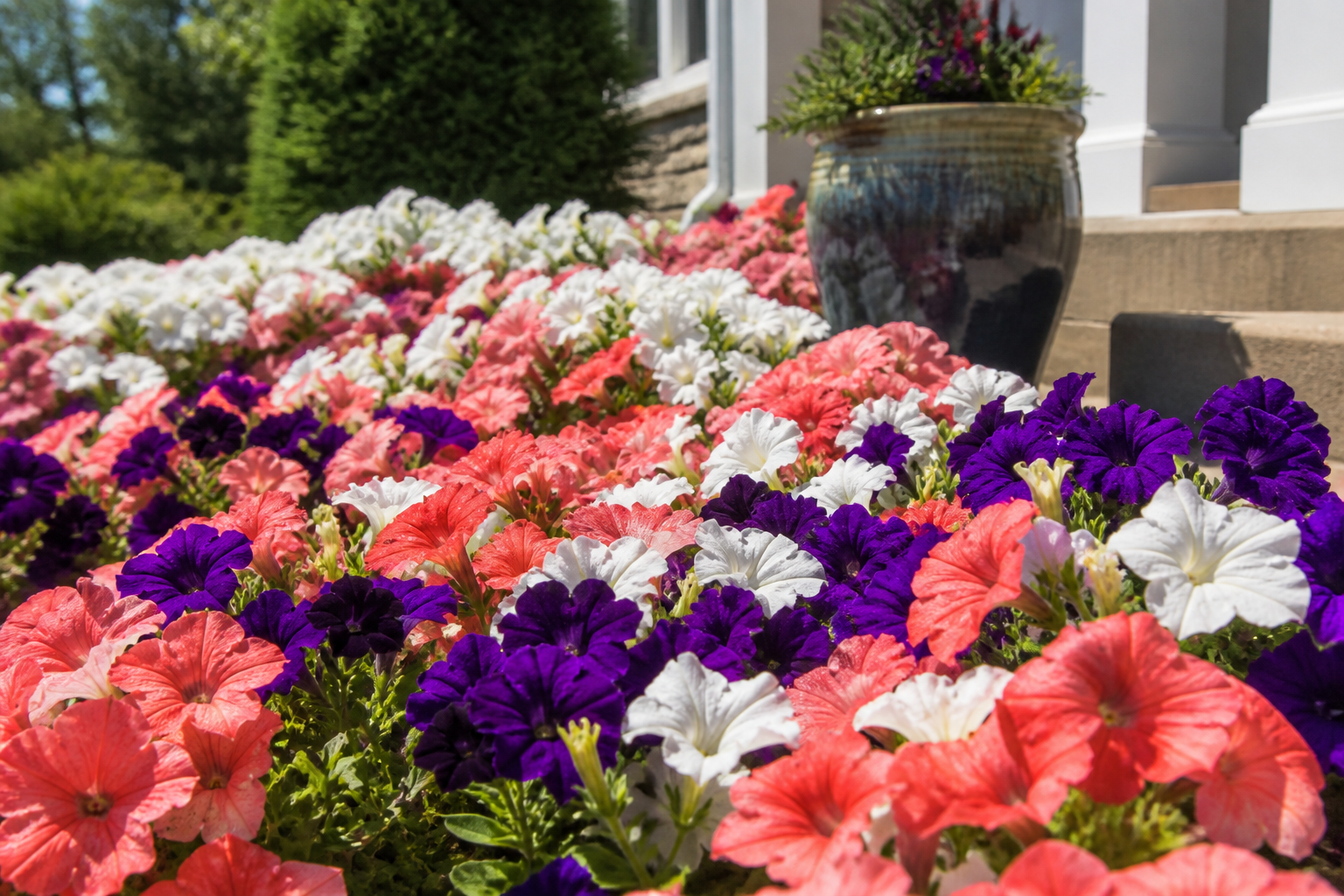 Seasonal Color & Plantings in Overland Park, Kansas